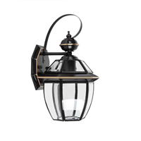 Đèn tường đồng đen TU308 (VT-B0600BK), E27*01