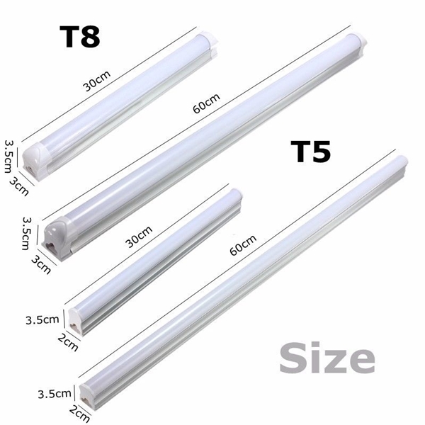 Bóng đèn tuyp led T8 âm nguyên khối, công suất: 10W, ánh sáng trắng, KT(mm): 600